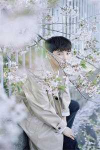 师兄是只狐狸精(番外)+(全文)