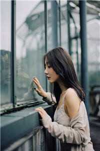 官婿凶猛赵阳秦雨柔最新章节免费阅读