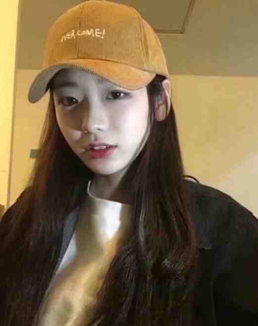 我欲登顶热门小说李正安刘建国