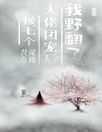 穿越后，我和国民女神成了队友苏星月林烟全文小说