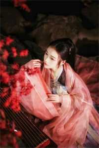 神农壶:全文+后续+结局