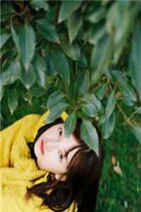 退婚开局，我靠签到无限进化全文+后续