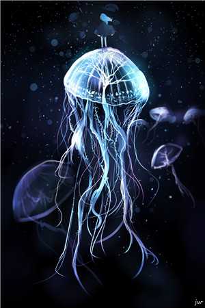 星光下的背叛与救赎沈嘉年池念念全局