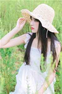 主宰三界小说