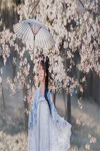 穿成影帝养的狗后我红透娱乐圈完结+番外