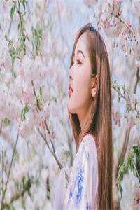网游之纵横天下:结局+番外