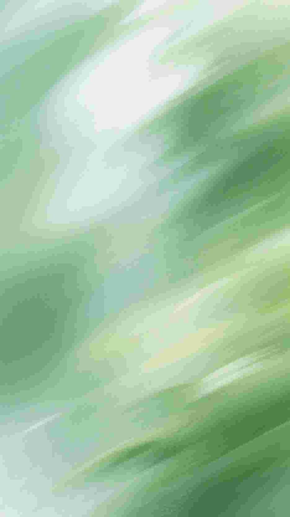 高温末世，AA制老公却要我将全部物资让给寡嫂完结+番外