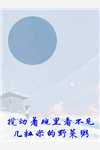 幻境苍穹