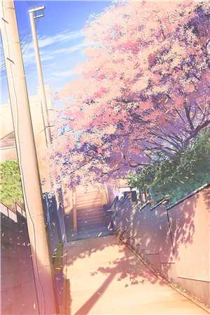 安先生的追妻日常
