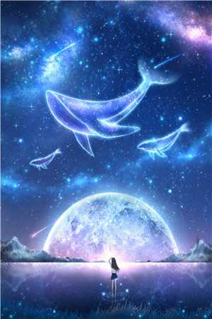 沈家公主要天上的星星月亮