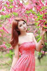 墨少夫人甜又娇