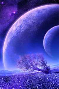 为你成星光，为你可消亡