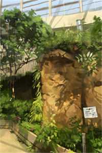 官路权途全章节阅读