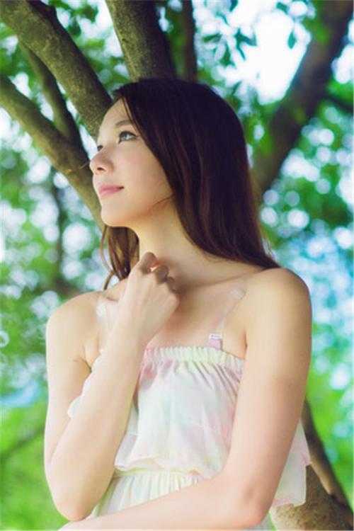 伺机养成阅读全集