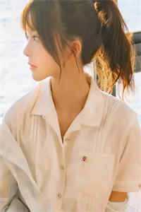 小说官婿美人图