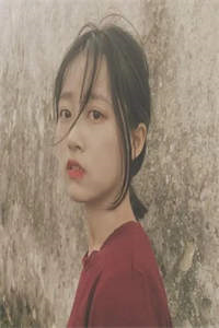 小说全集绝唱盛夏