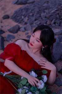 小说全集青云美人图