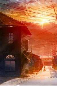 桃源山村畅销巨作